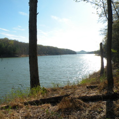 Cave Run Lake